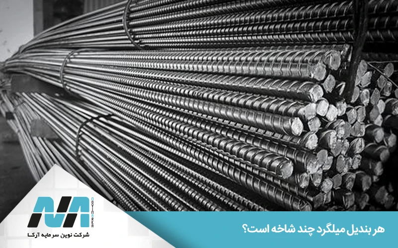 فرمول محاسبه تعداد شاخههای هر بندیل